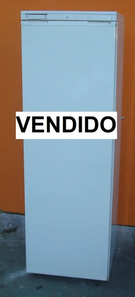 X Freezer Prosdocimo - VENDIDO